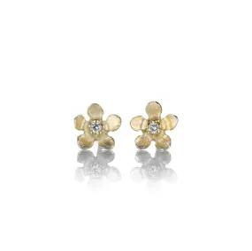 14k Gold Open Flower Studs