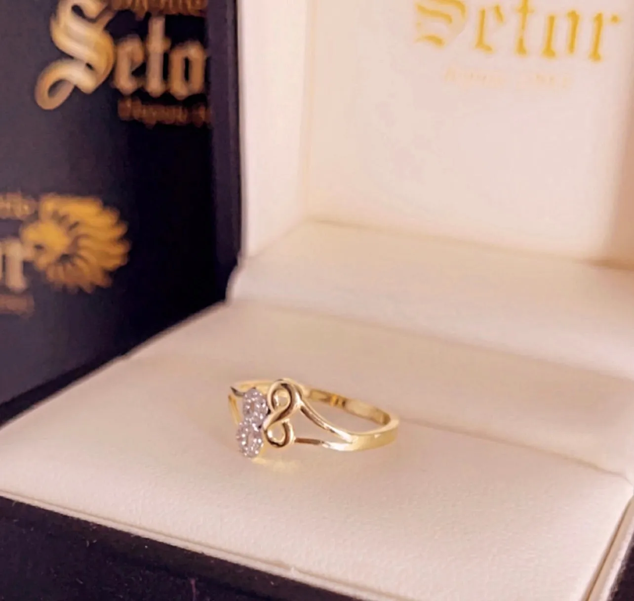 Double infinity ring