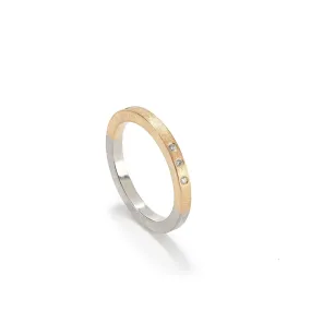 Gold & Platinum Band with Diamonds