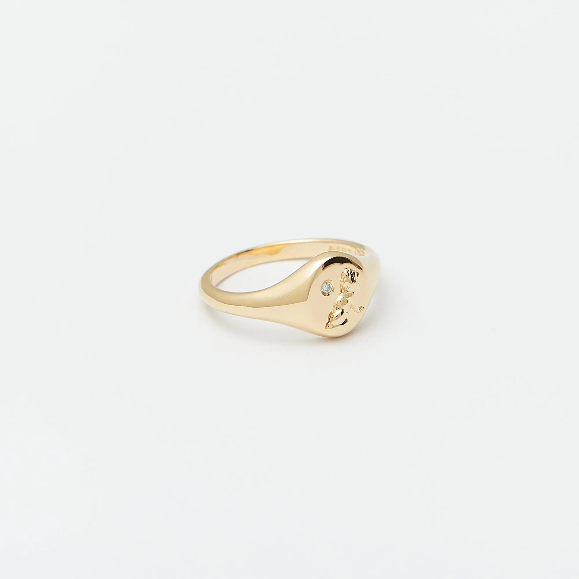 Moonshine Signet Ring in Gold